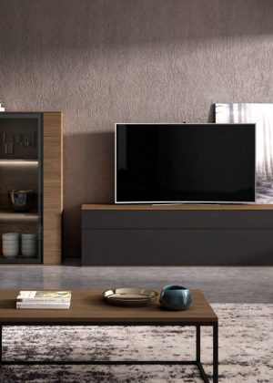 Salón Moderno Indual W