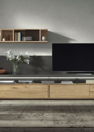 Muebles de Salón Iris 08