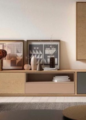 Muebles de Salón Cubico 9