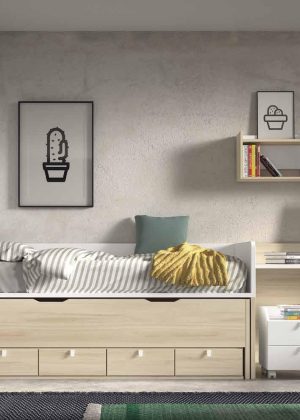 Dormitorio Juvenil Formas 11