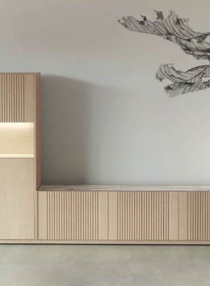 Mueble de Salón Singular ON 78.