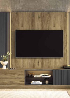 Mesa TV Mika 03